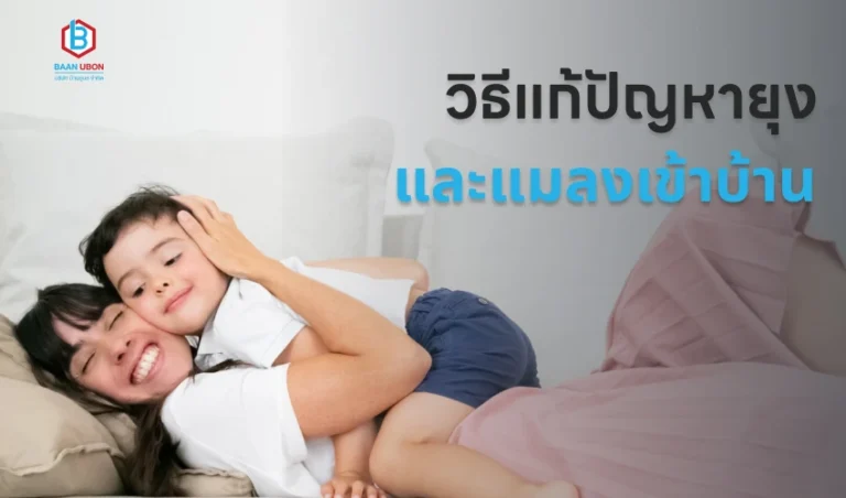 วิธีแก้ปัญหายุง และแมลงเข้าบ้าน