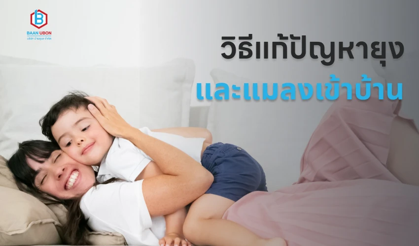 วิธีแก้ปัญหายุง และแมลงเข้าบ้าน
